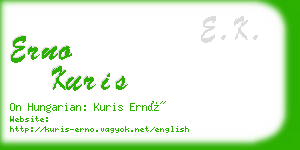 erno kuris business card